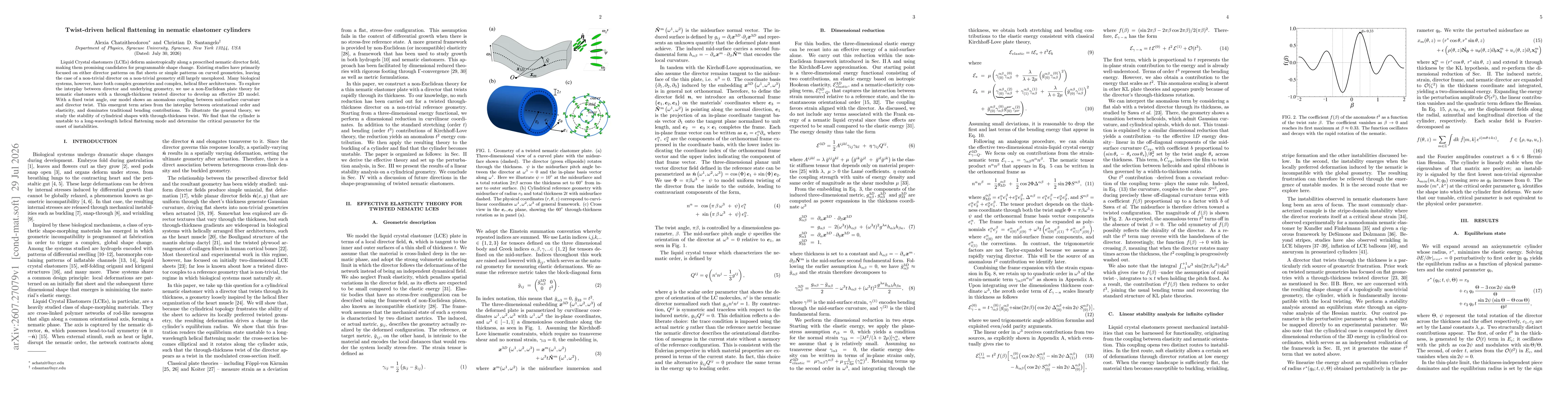 Thumbnail for Twist-driven helical flattening in nematic elastomer cylinders