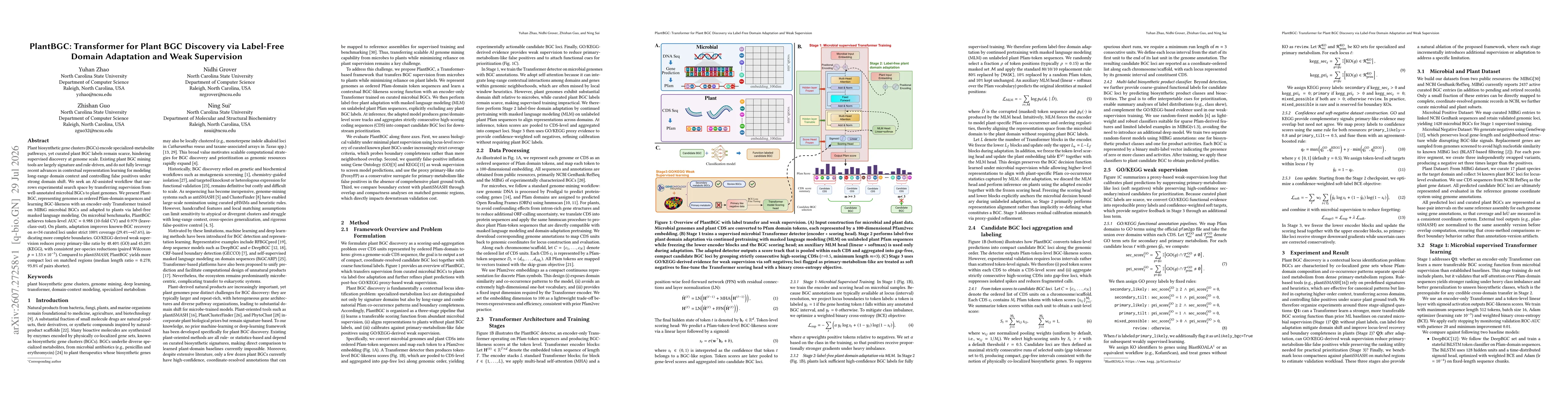 Thumbnail for PlantBGC: Transformer for Plant BGC Discovery via Label-Free Domain Adaptation and Weak Supervision