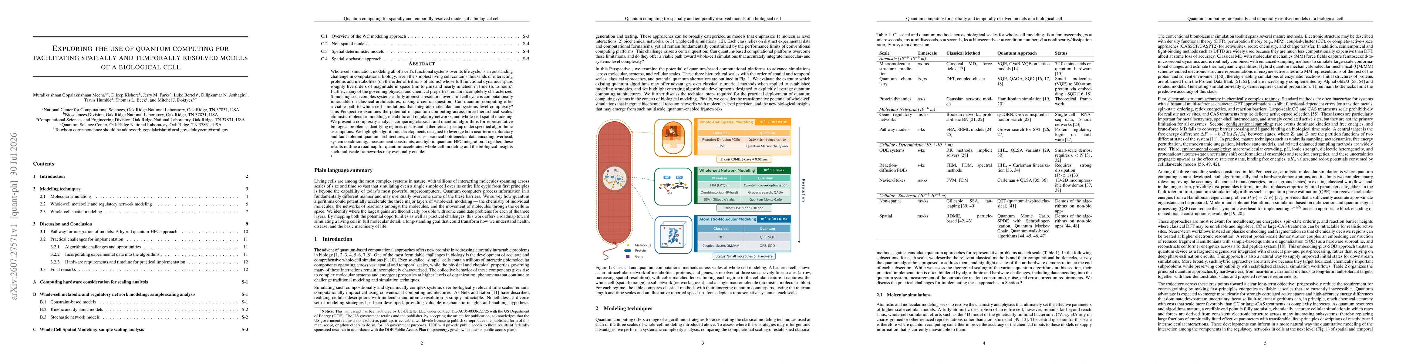 Thumbnail for Exploring the use of quantum computing for facilitating spatially and temporally resolved models of a biological cell
