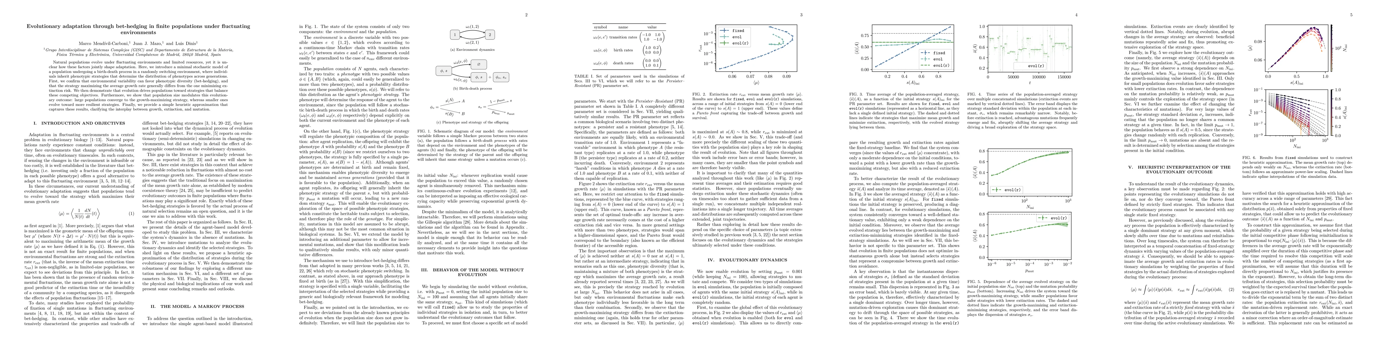 Thumbnail for Evolutionary adaptation through bet-hedging in finite populations under fluctuating environments