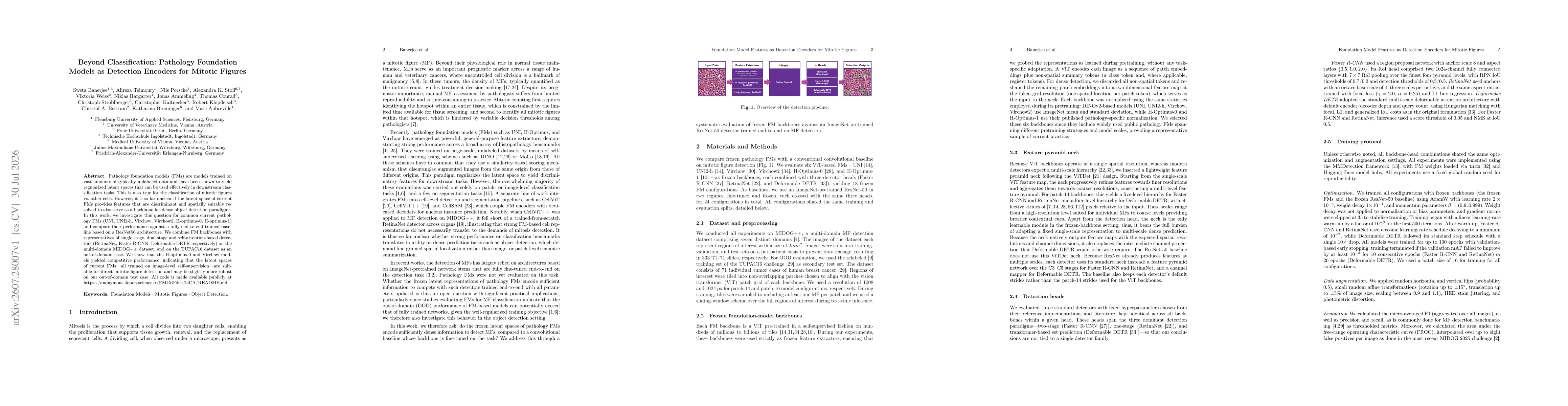 Thumbnail for Beyond Classification: Pathology Foundation Models as Detection Encoders for Mitotic Figures