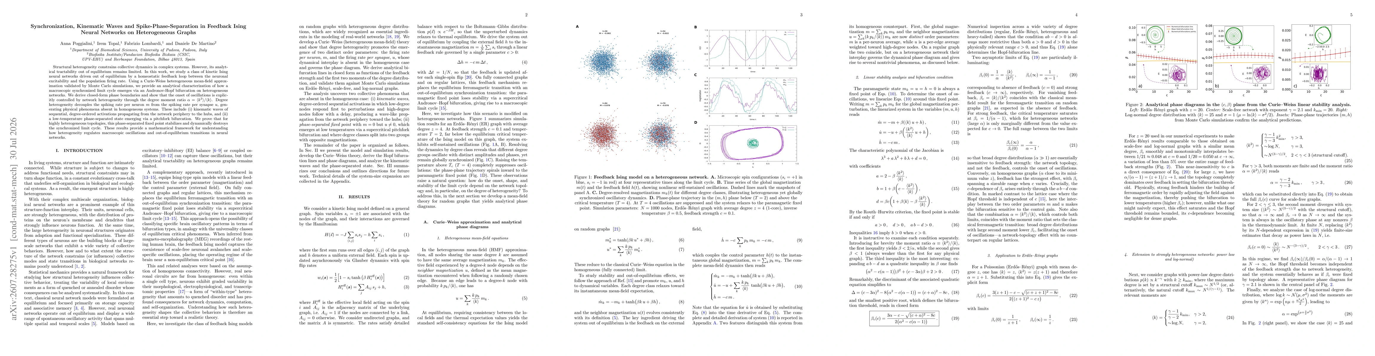 Thumbnail for Synchronization, Kinematic Waves and Spike-Phase-Separation in Feedback Ising Neural Networks on Heterogeneous Graphs