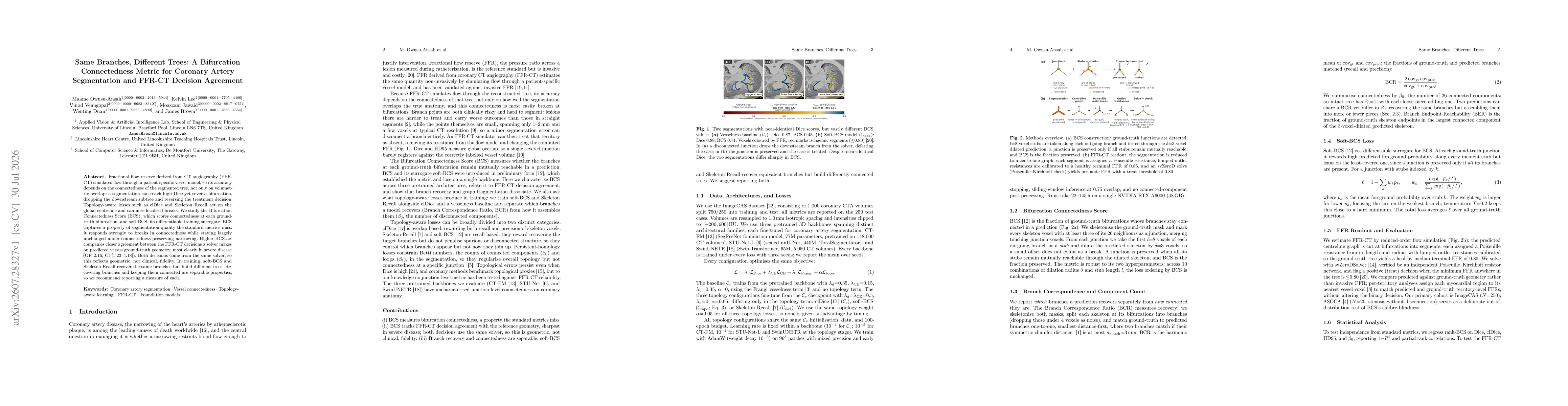 Thumbnail for Same Branches, Different Trees: A Bifurcation Connectedness Metric for Coronary Artery Segmentation and FFR-CT Decision Agreement