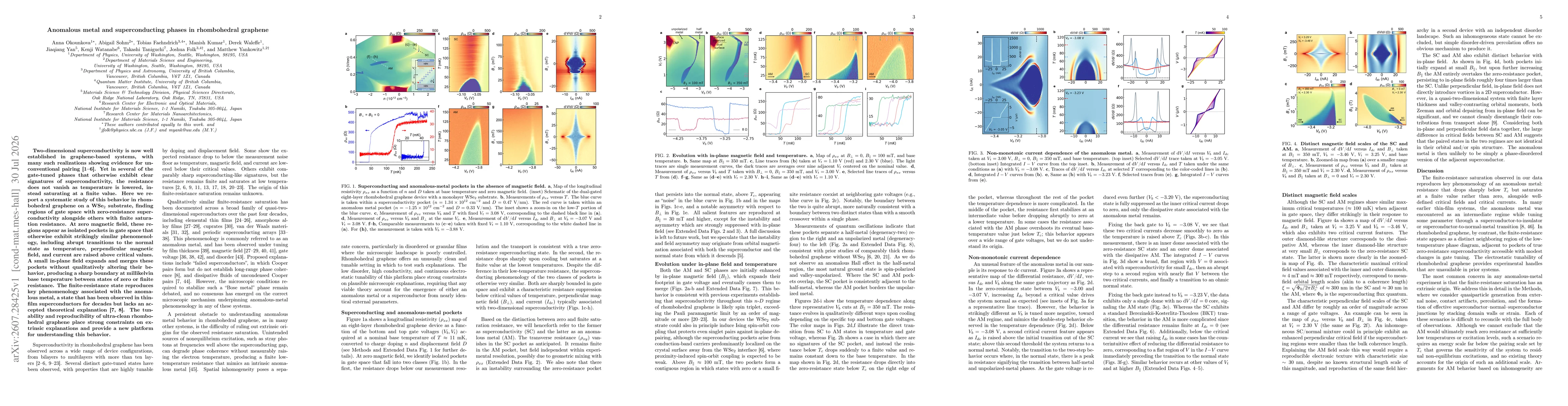 Thumbnail for Anomalous metal and superconducting phases in rhombohedral graphene