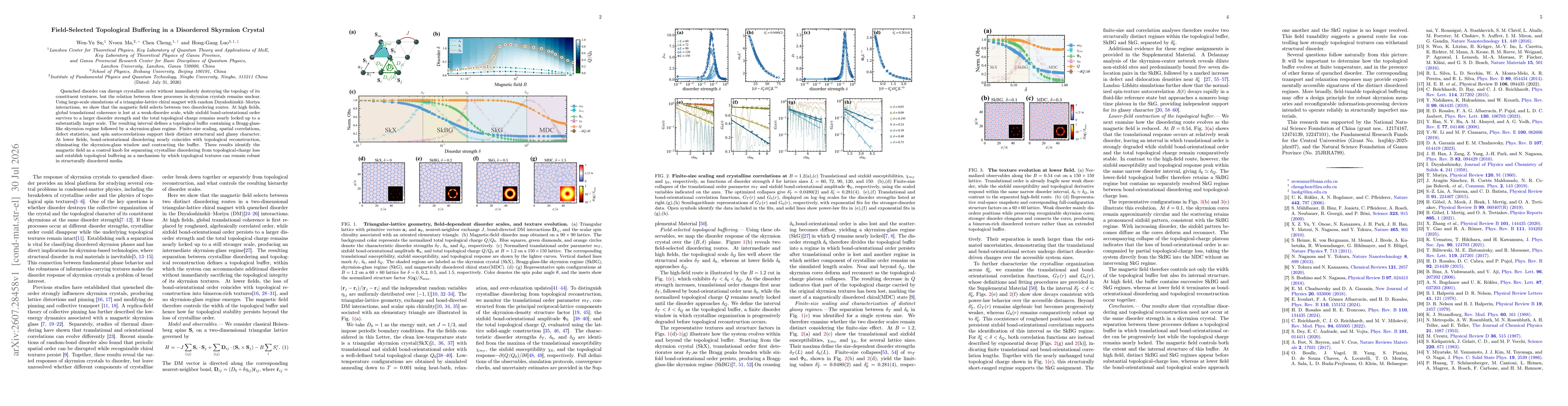 Thumbnail for Field-Selected Topological Buffering in a Disordered Skyrmion Crystal