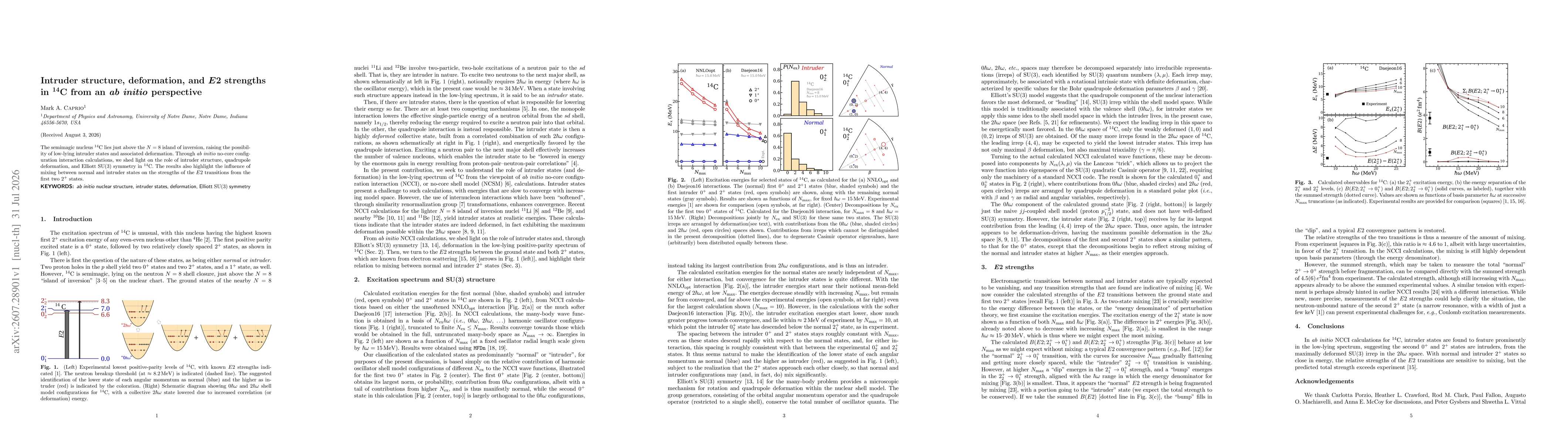 Thumbnail for Intruder structure, deformation, and $E2$ strengths in $^{14}\mathrm{C}$ from an ab initio perspective