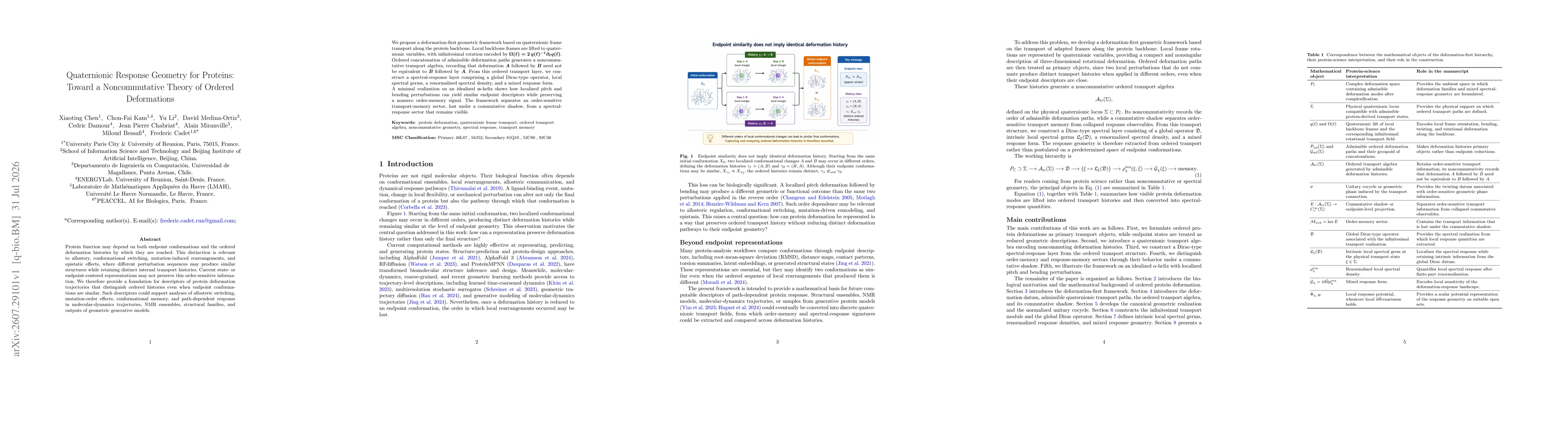 Thumbnail for Quaternionic Response Geometry for Proteins: Toward a Noncommutative Theory of Ordered Deformations