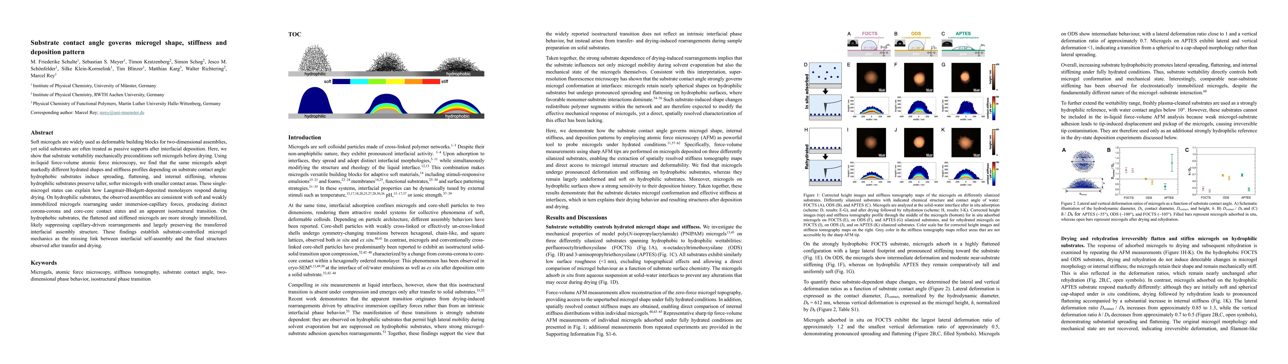 Thumbnail for Substrate contact angle governs microgel shape, stiffness and deposition pattern