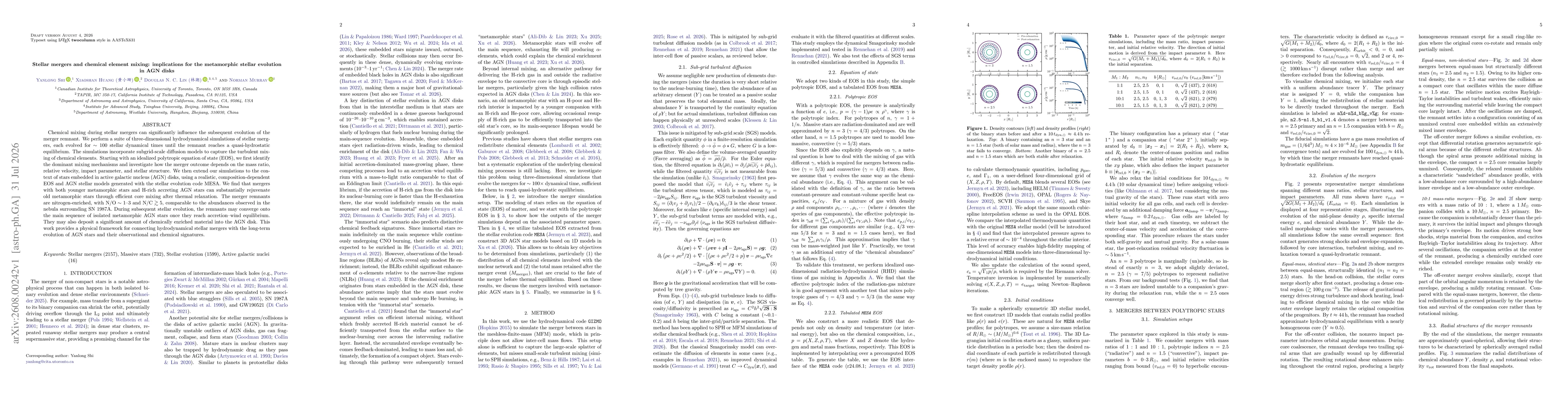 Thumbnail for Stellar mergers and chemical element mixing: implications for the metamorphic stellar evolution in AGN disks