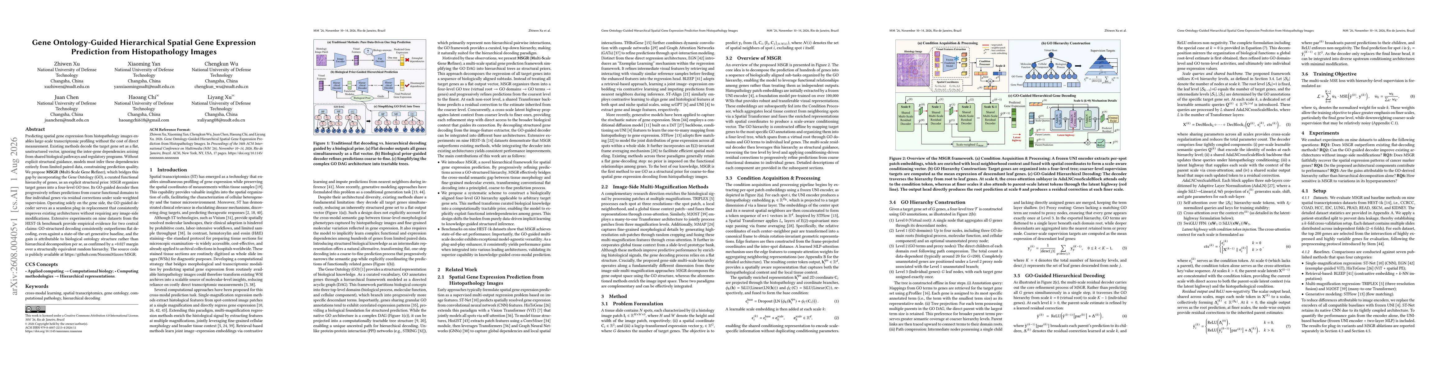 Thumbnail for Gene Ontology-Guided Hierarchical Spatial Gene Expression Prediction from Histopathology Images