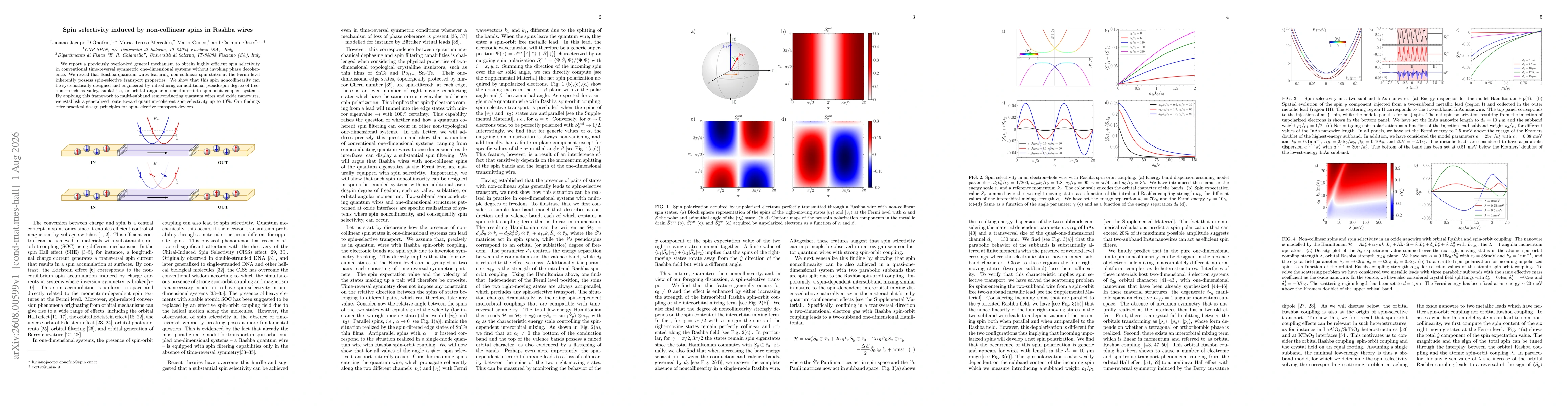 Thumbnail for Spin selectivity induced by non-collinear spins in Rashba wires