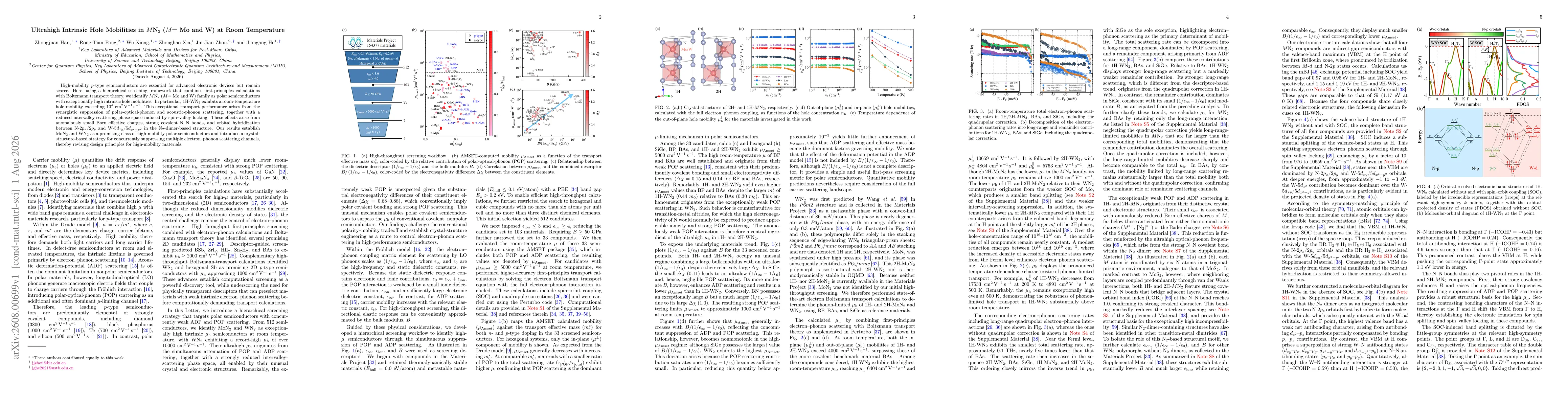 Thumbnail for Ultrahigh Intrinsic Hole Mobilities in $M$N$_2$ ($M$= Mo and W) at Room Temperature