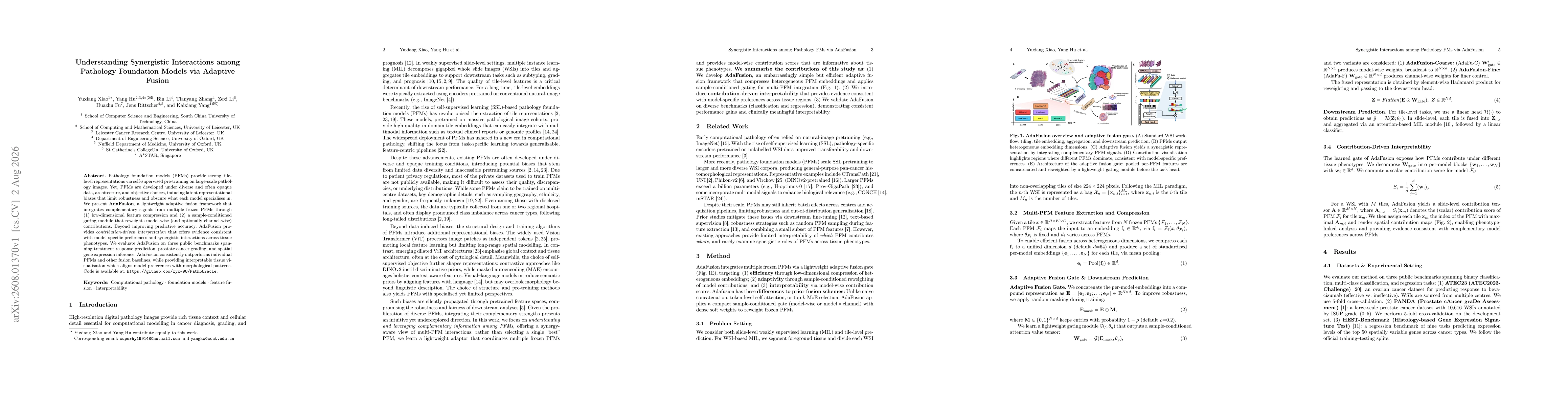 Thumbnail for Understanding Synergistic Interactions among Pathology Foundation Models via Adaptive Fusion