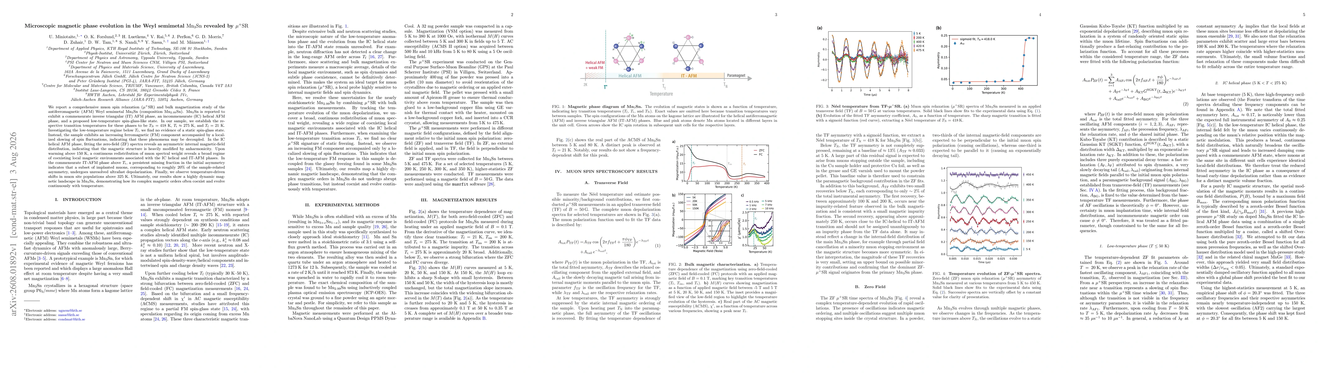 Thumbnail for Microscopic magnetic phase evolution in the Weyl semimetal Mn$_3$Sn revealed by $μ^+$SR