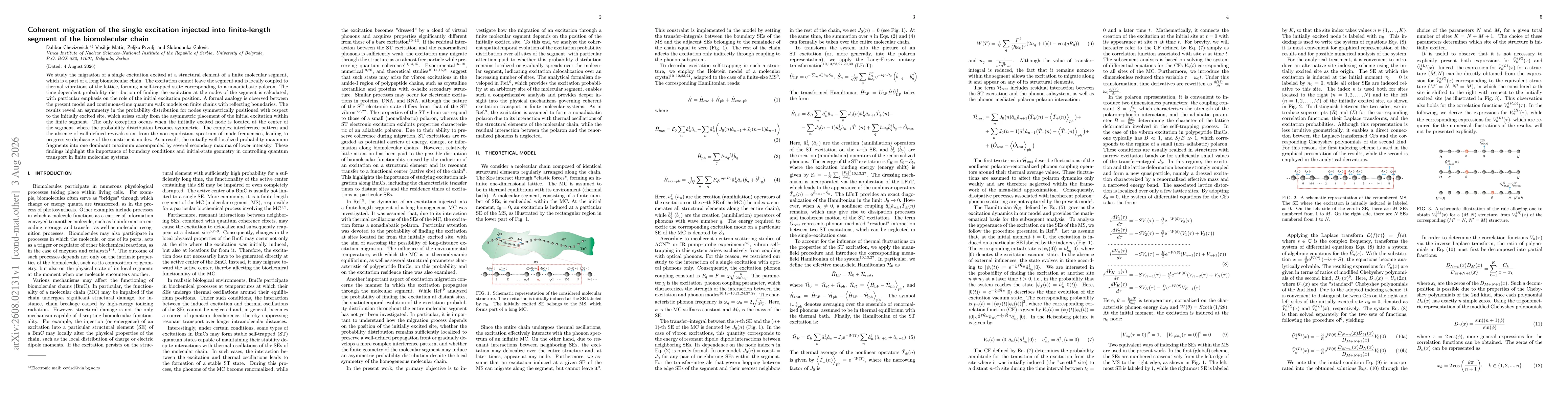 Thumbnail for Coherent migration of the single excitation injected into finite-length segment of the biomolecular chain