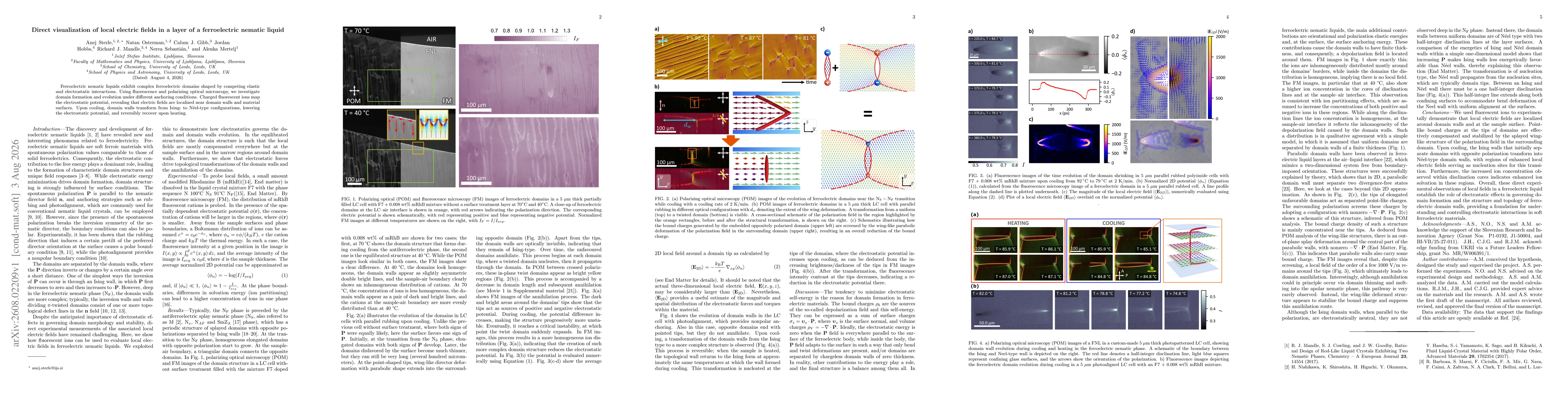 Thumbnail for Direct visualization of local electric fields in a layer of a ferroelectric nematic liquid