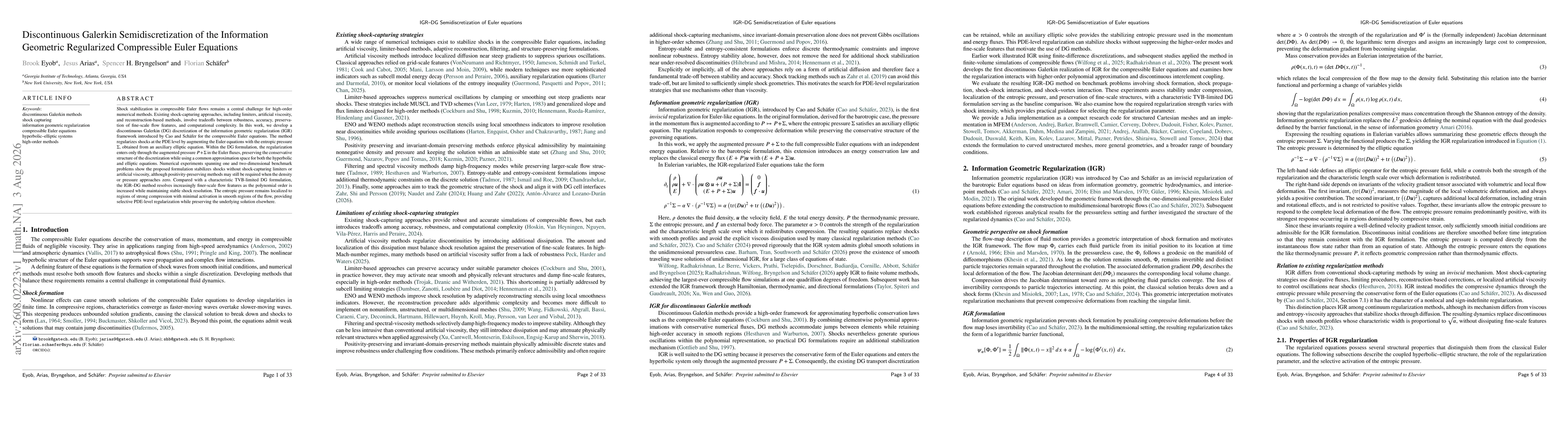 Thumbnail for Discontinuous Galerkin Semidiscretization of the Information Geometric Regularized Compressible Euler Equations