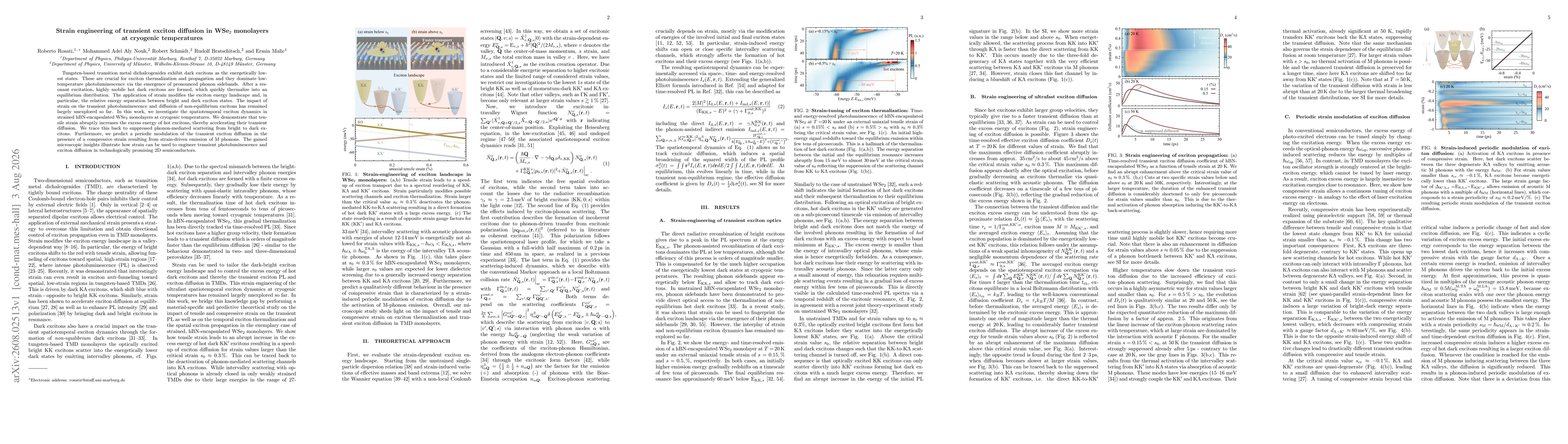 Thumbnail for Strain engineering of transient exciton diffusion in WSe2 monolayers at cryogenic temperatures