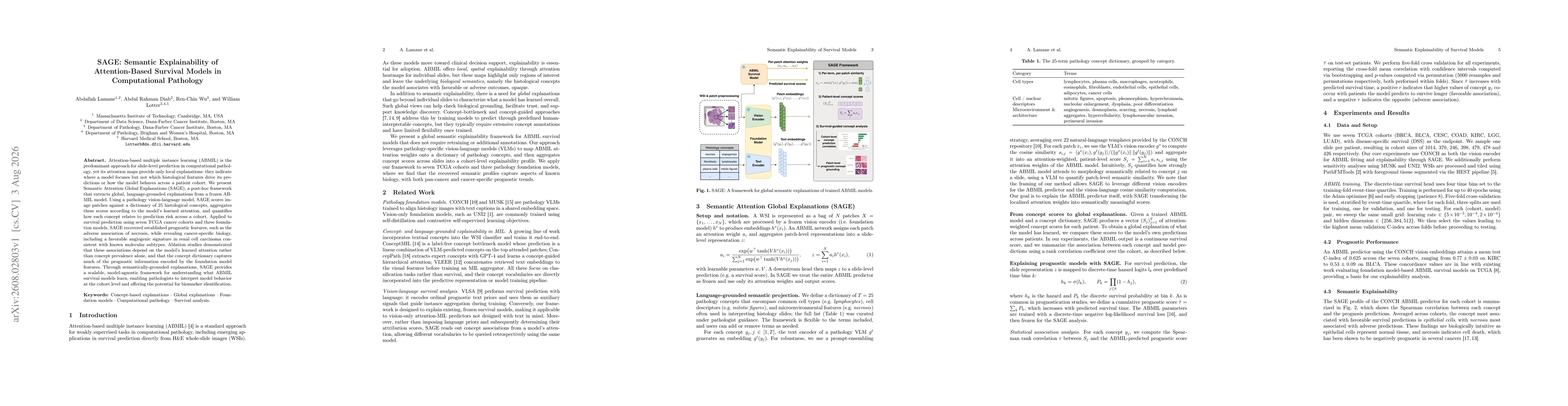 Thumbnail for SAGE: Semantic Explainability of Attention-Based Survival Models in Computational Pathology