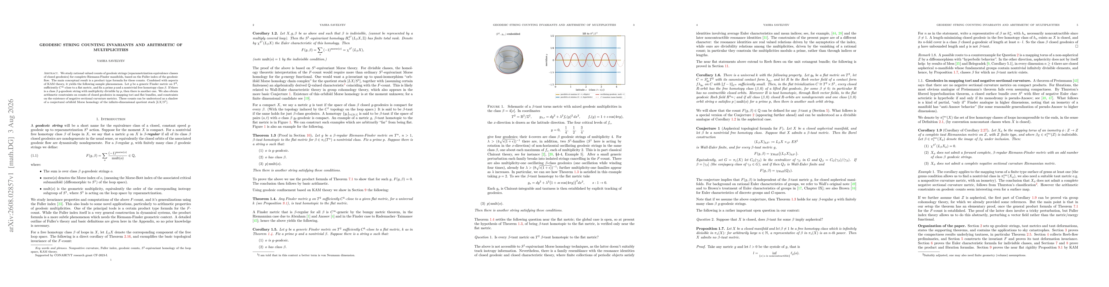 Thumbnail for Geodesic string counting invariants and arithmetic of multiplicities