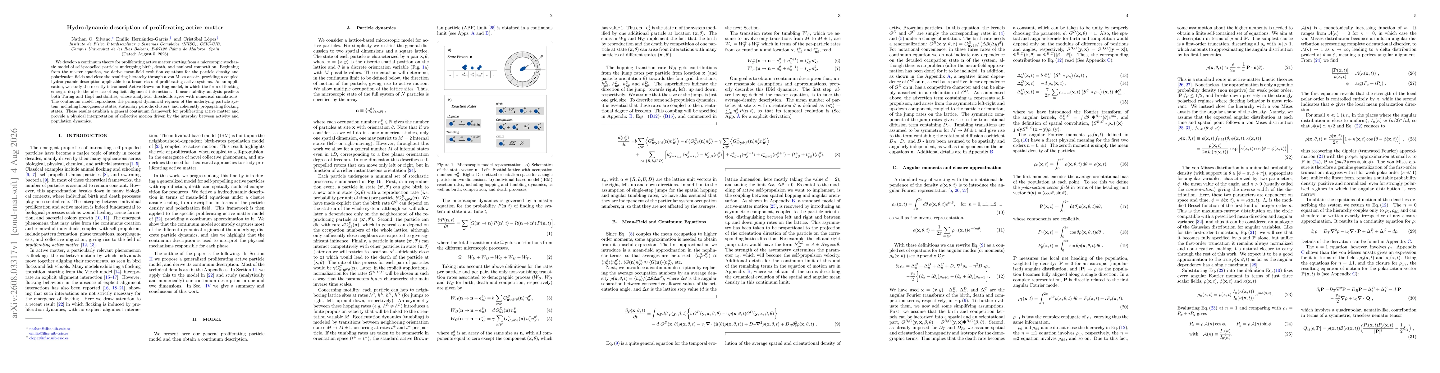 Thumbnail for Hydrodynamic description of proliferating active matter