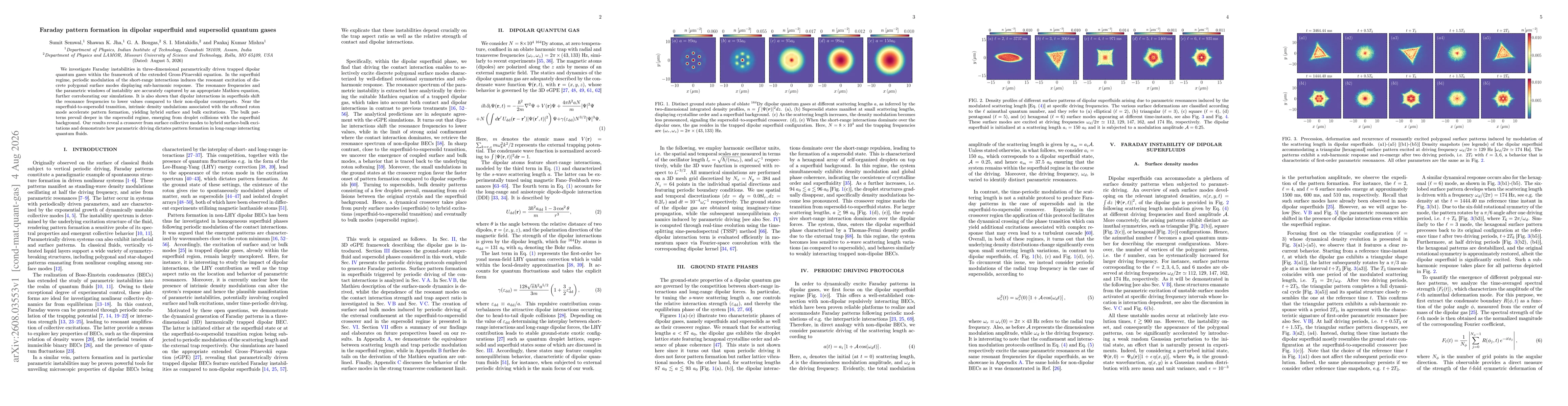 Thumbnail for Faraday pattern formation in dipolar superfluid and supersolid quantum gases