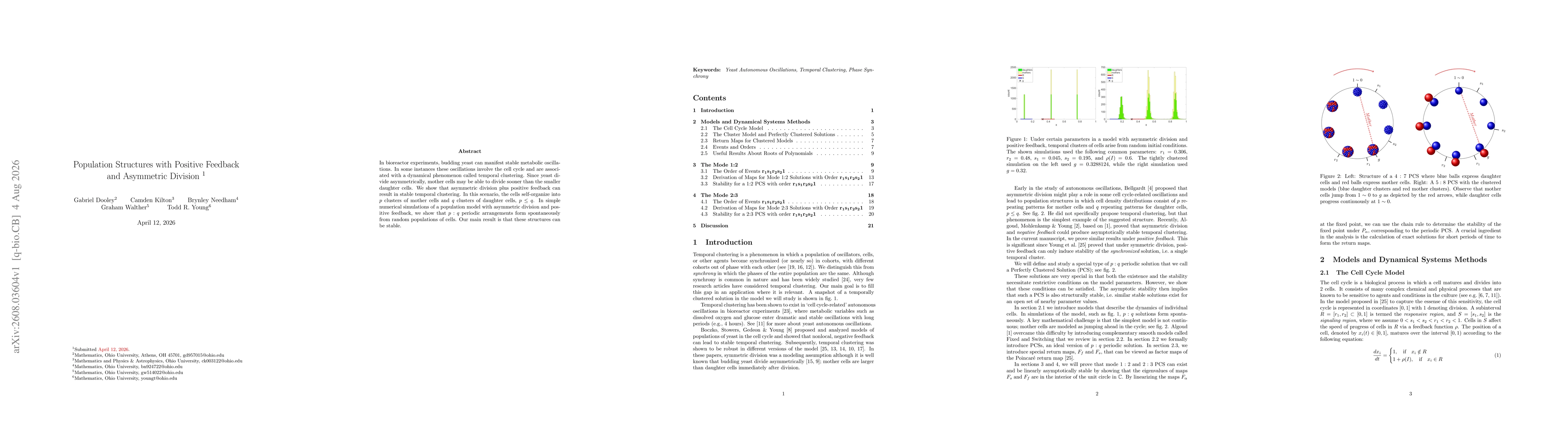 Thumbnail for Population Structures with Positive Feedback and Asymmetric Division