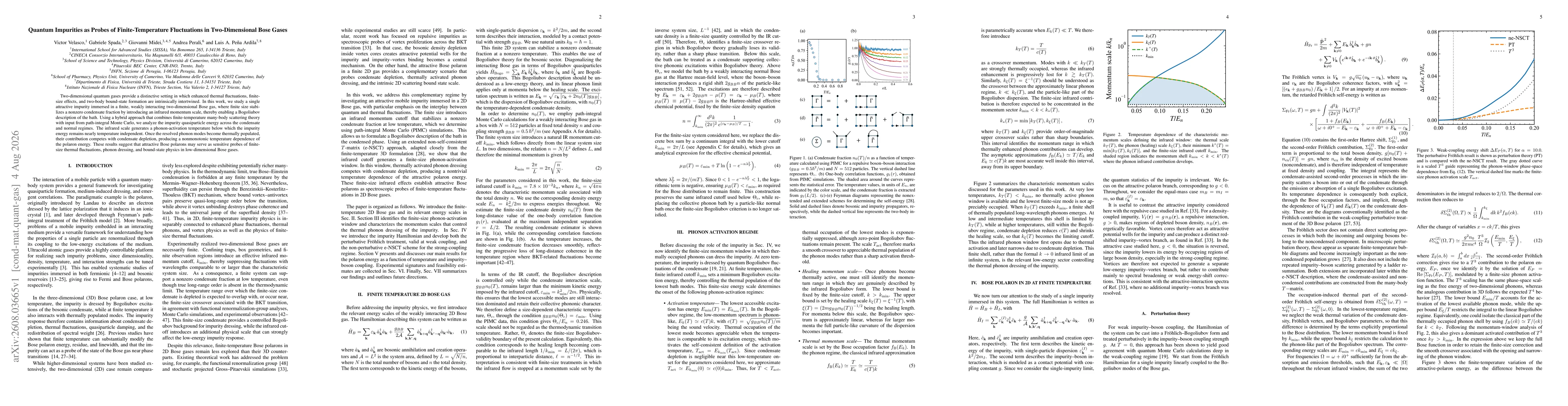 Thumbnail for Quantum Impurities as Probes of Finite-Temperature Fluctuations in Two-Dimensional Bose Gases