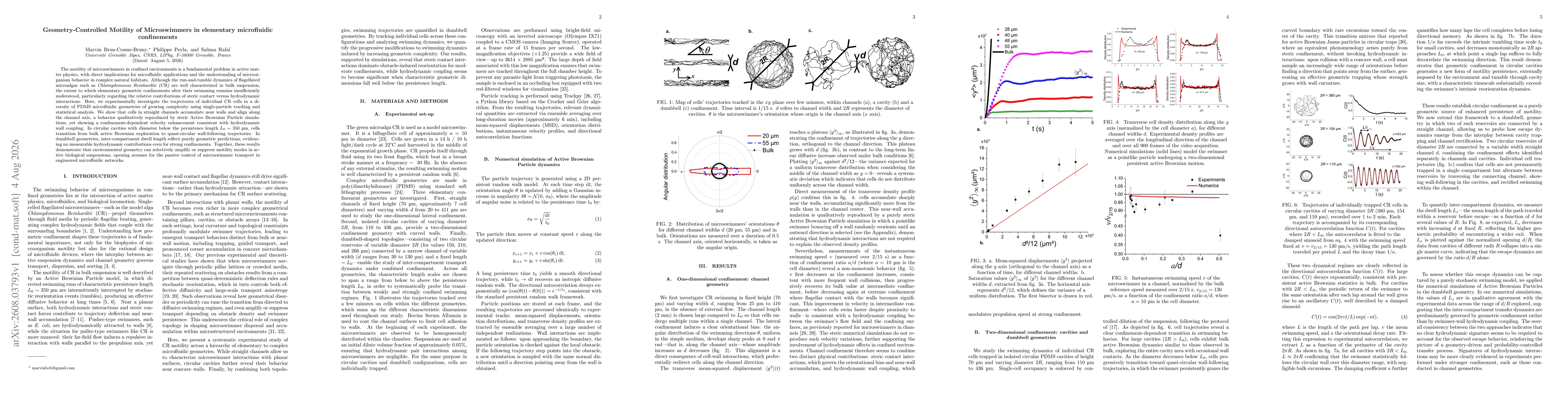 Thumbnail for Geometry-Controlled Motility of Microswimmers in elementary microfluidic confinements