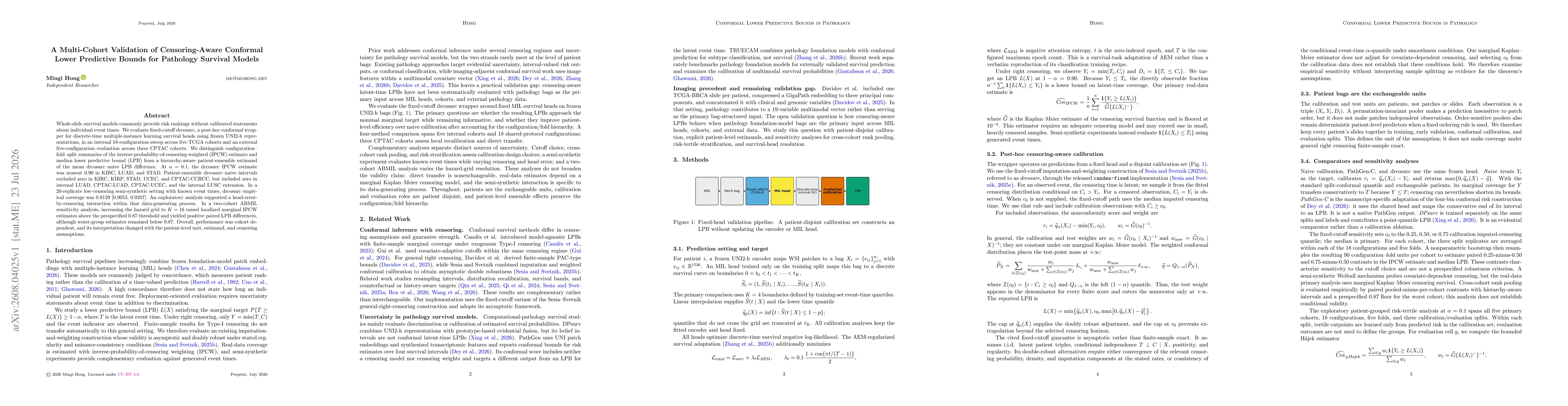 Thumbnail for A Multi-Cohort Validation of Censoring-Aware Conformal Lower Predictive Bounds for Pathology Survival Models