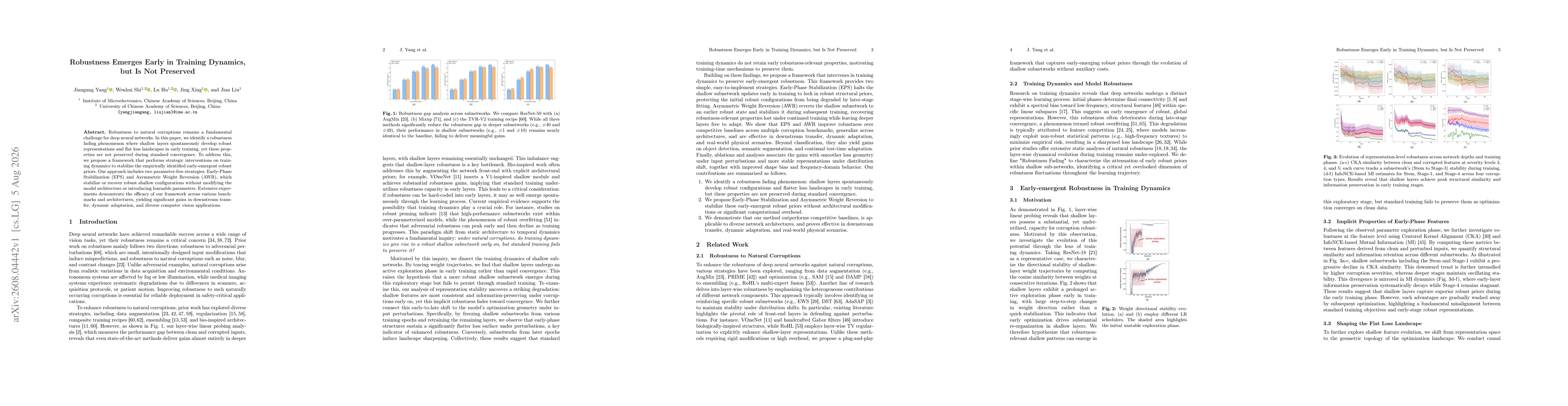 Thumbnail for Robustness Emerges Early in Training Dynamics, but Is Not Preserved