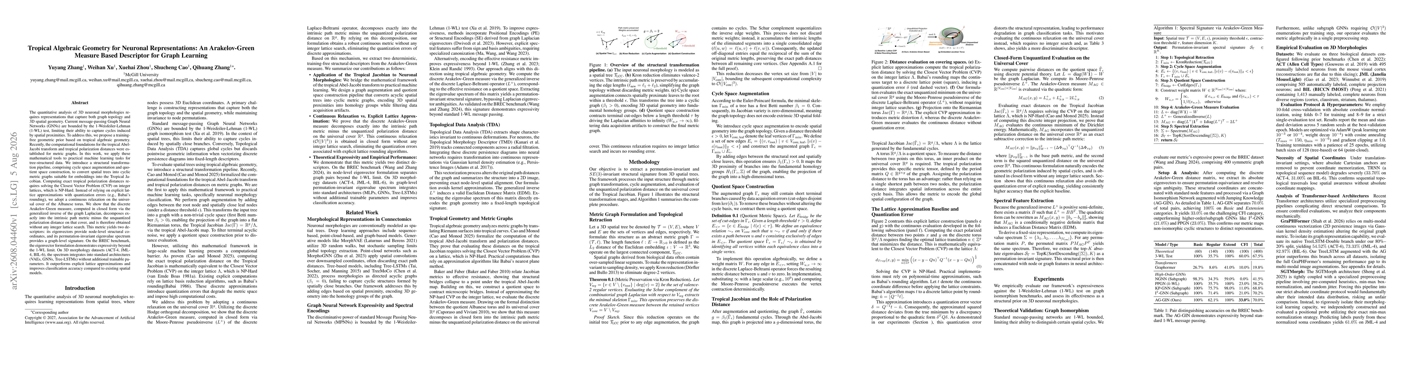 Thumbnail for Tropical Algebraic Geometry for Neuronal Representations: An Arakelov-Green Measure Based Descriptor for Graph Learning
