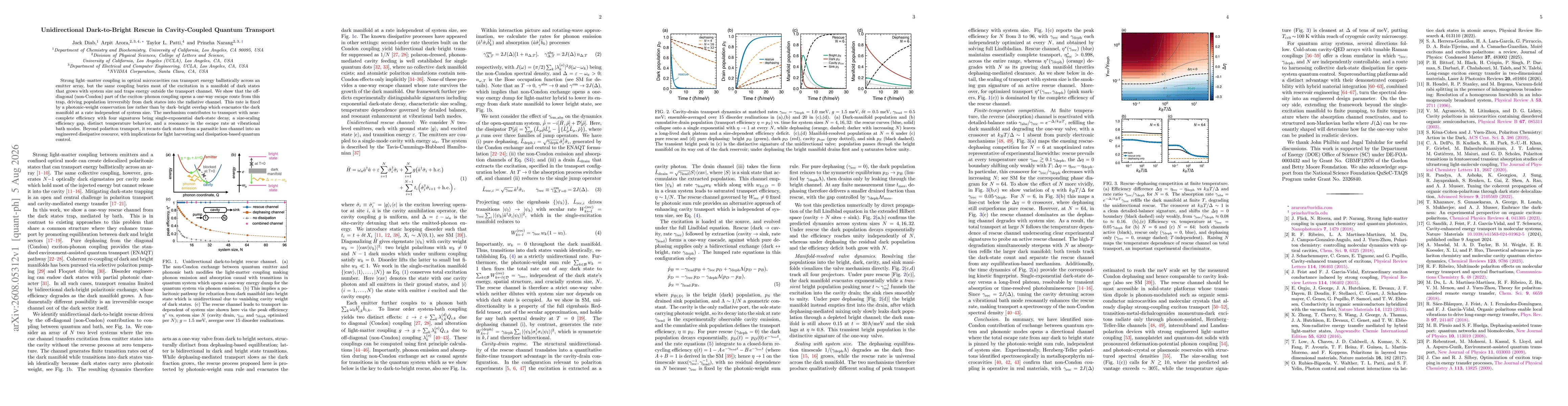 Thumbnail for Unidirectional Dark-to-Bright Rescue in Cavity-Coupled Quantum Transport
