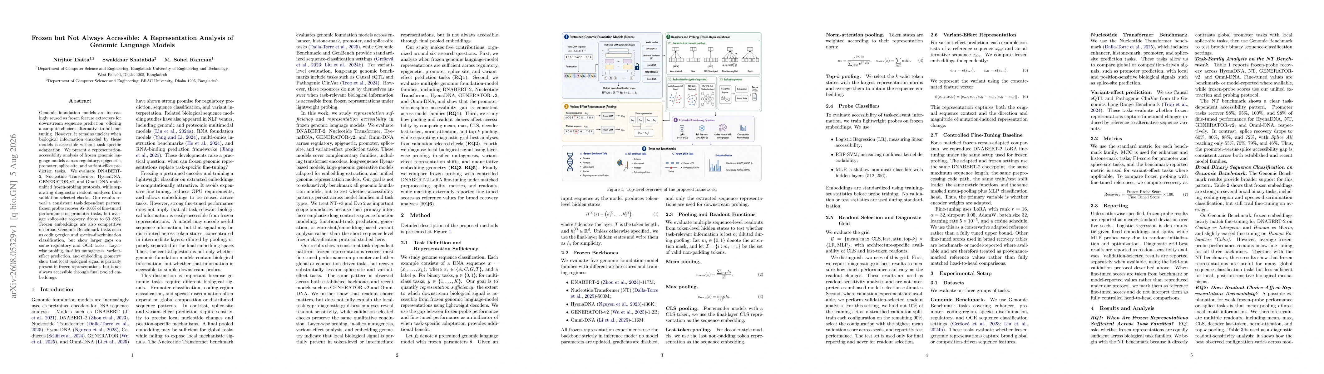 Thumbnail for Frozen but Not Always Accessible: A Representation Analysis of Genomic Language Models