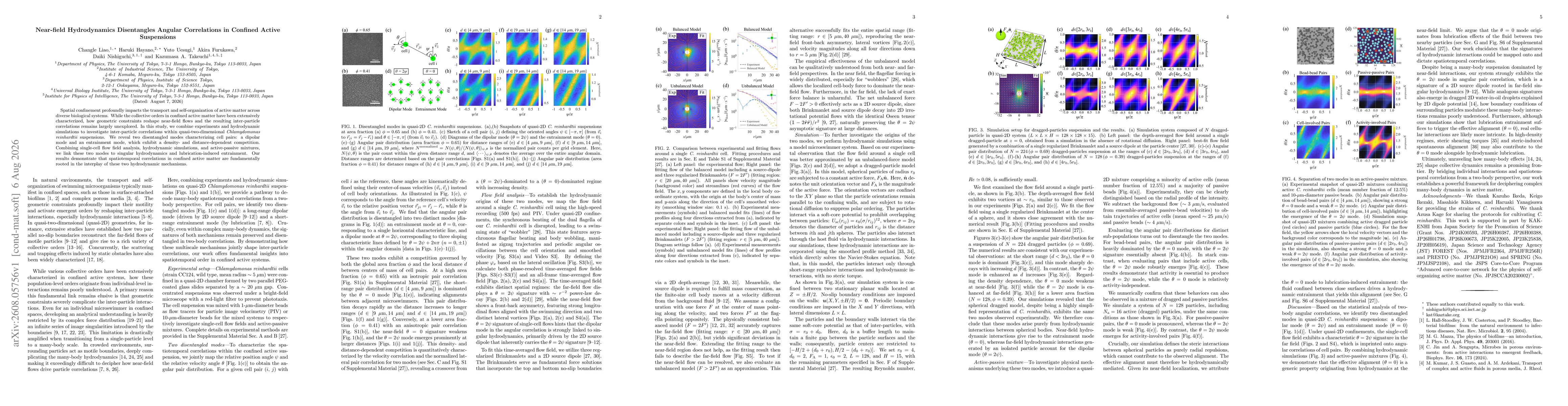 Thumbnail for Near-field Hydrodynamics Disentangles Angular Correlations in Confined Active Suspensions