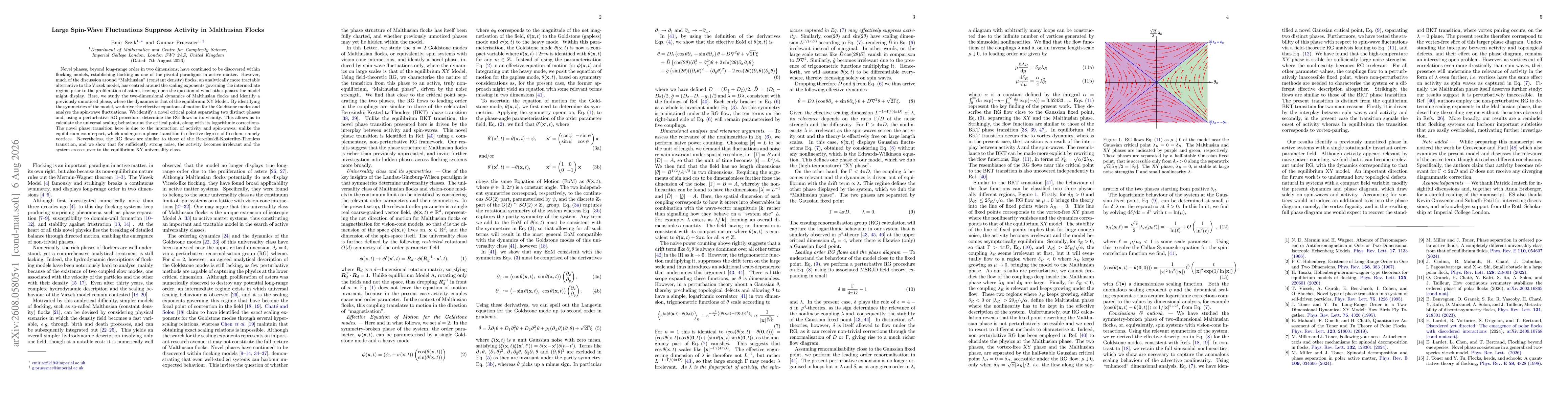 Thumbnail for Large Spin-Wave Fluctuations Suppress Activity in Malthusian Flocks