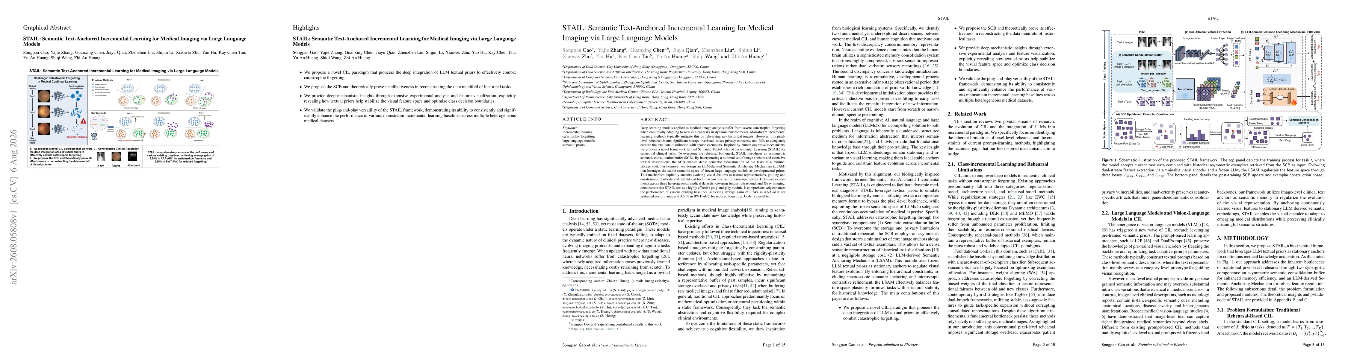 Thumbnail for STAIL: Semantic Text-Anchored Incremental Learning for Medical Imaging via Large Language Models