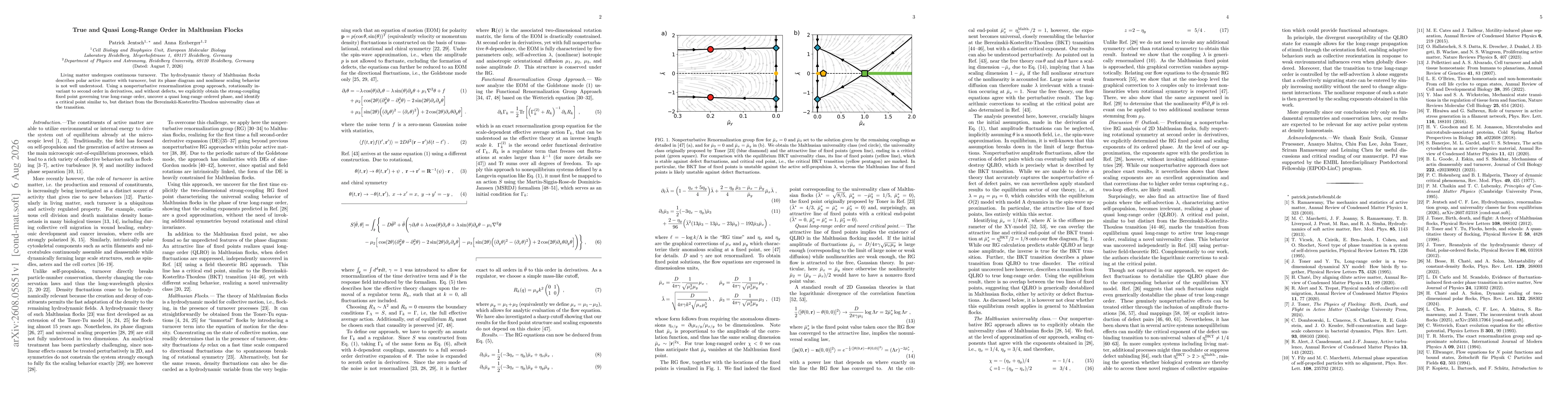 Thumbnail for True and Quasi Long-Range Order in Malthusian Flocks