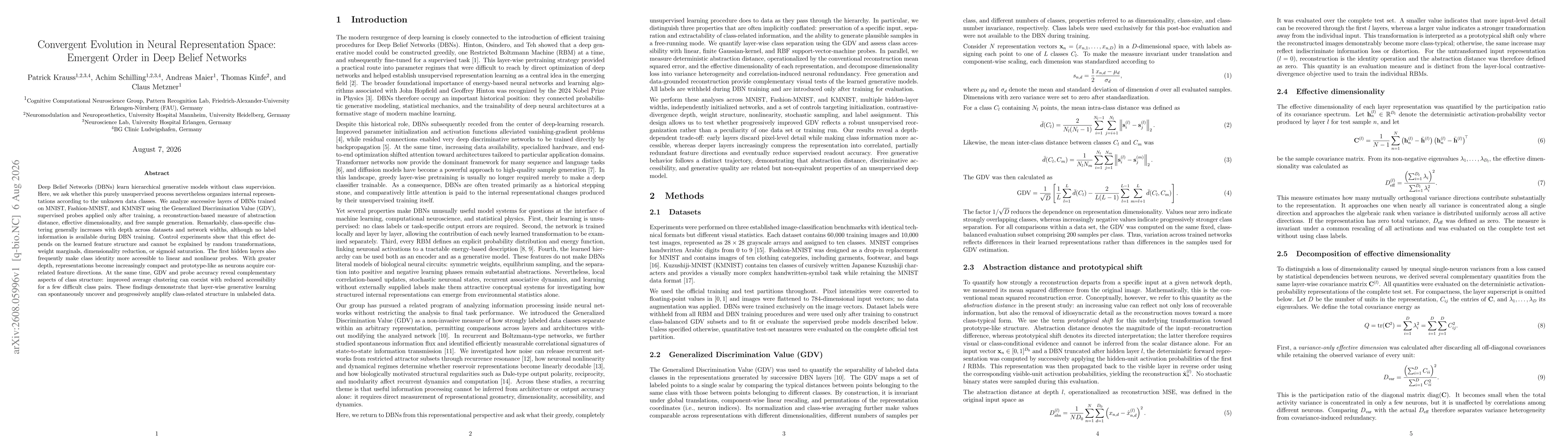 Thumbnail for Convergent Evolution in Neural Representation Space: Emergent Order in Deep Belief Networks