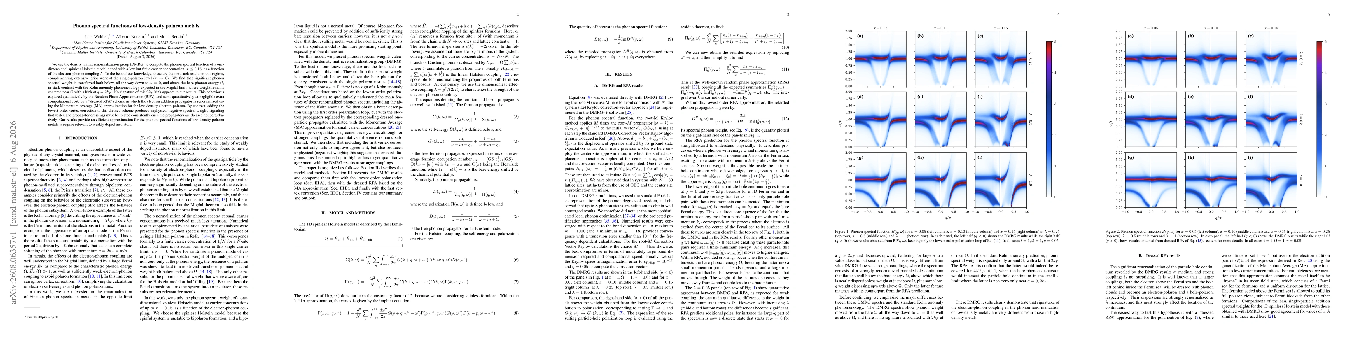 Thumbnail for Phonon spectral functions of low-density polaron metals