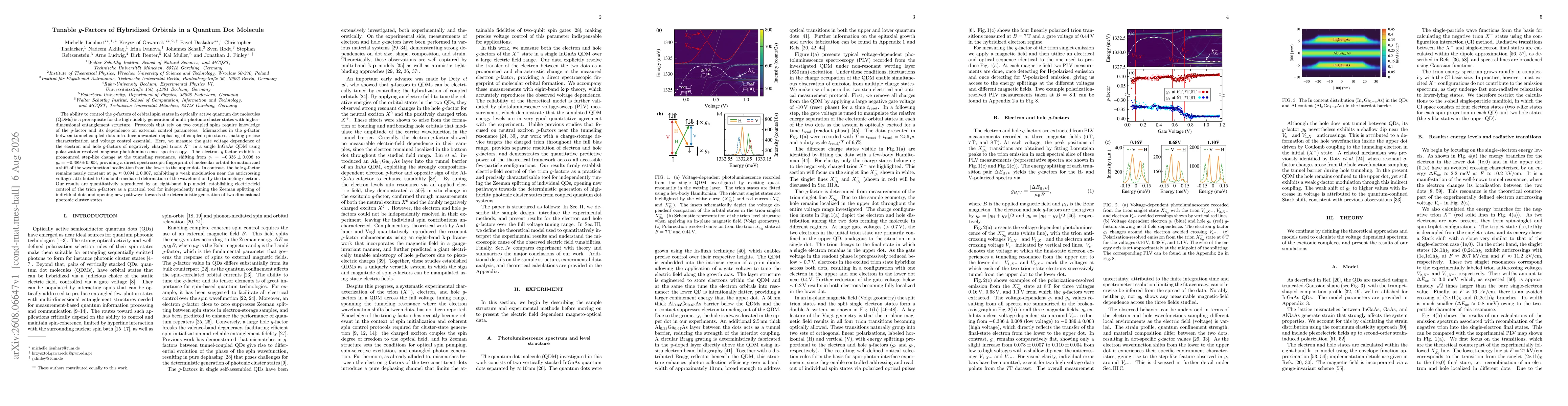 Thumbnail for Tunable g-Factors of Hybridized Orbitals in a Quantum Dot Molecule