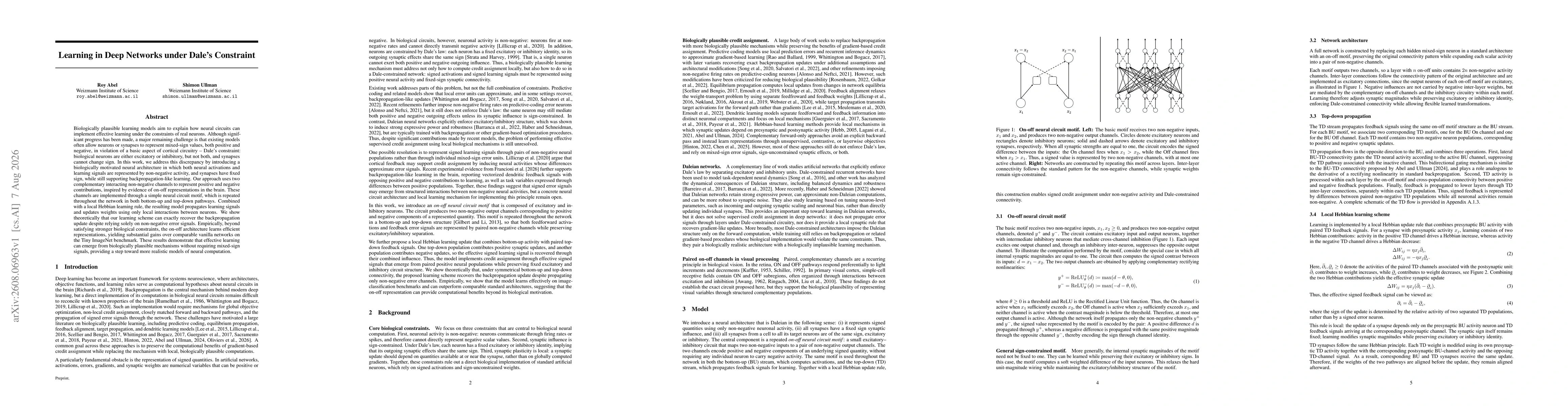 Thumbnail for Learning in Deep Networks under Dale's Constraint