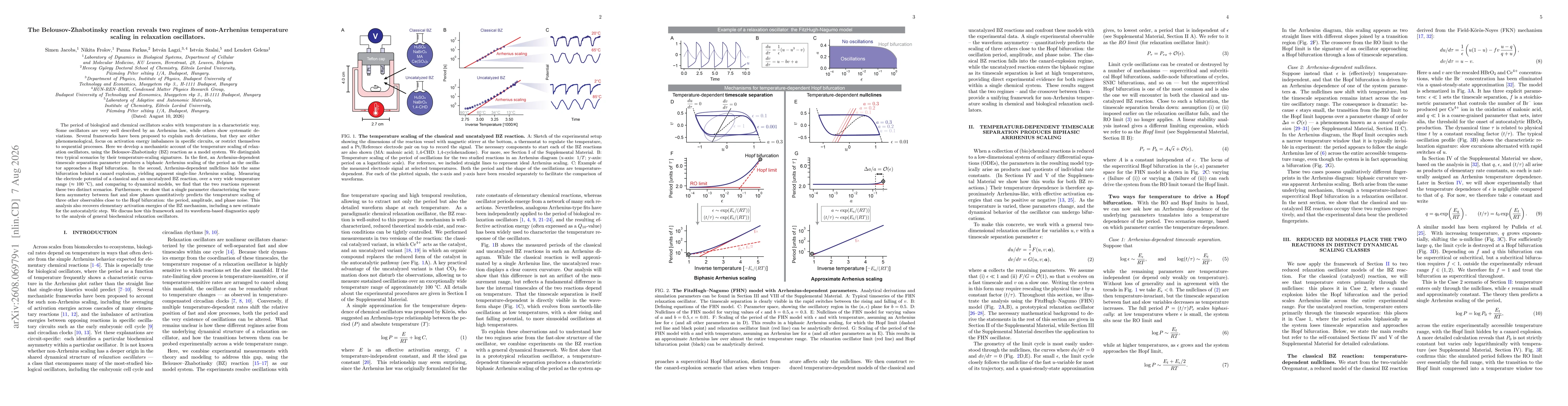 Thumbnail for The Belousov-Zhabotinsky reaction reveals two regimes of non-Arrhenius temperature scaling in relaxation oscillators