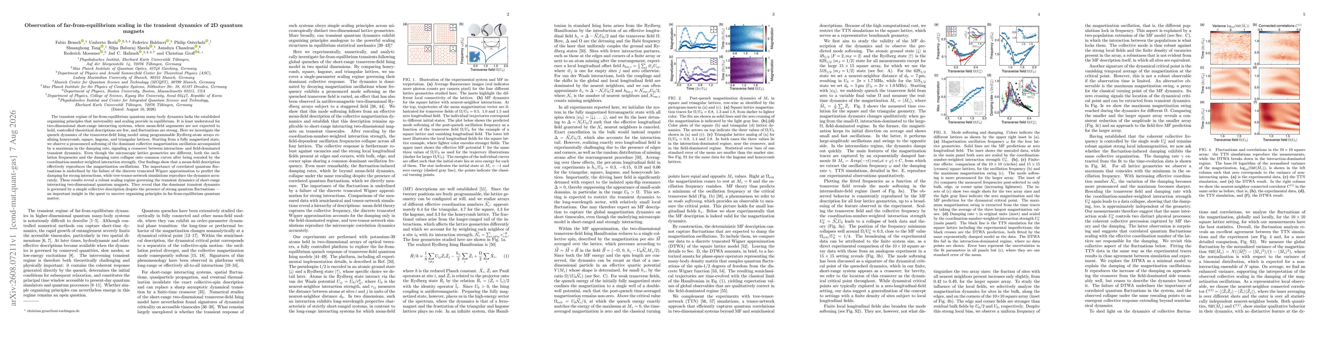 Thumbnail for Observation of far-from-equilibrium scaling in the transient dynamics of 2D quantum magnets