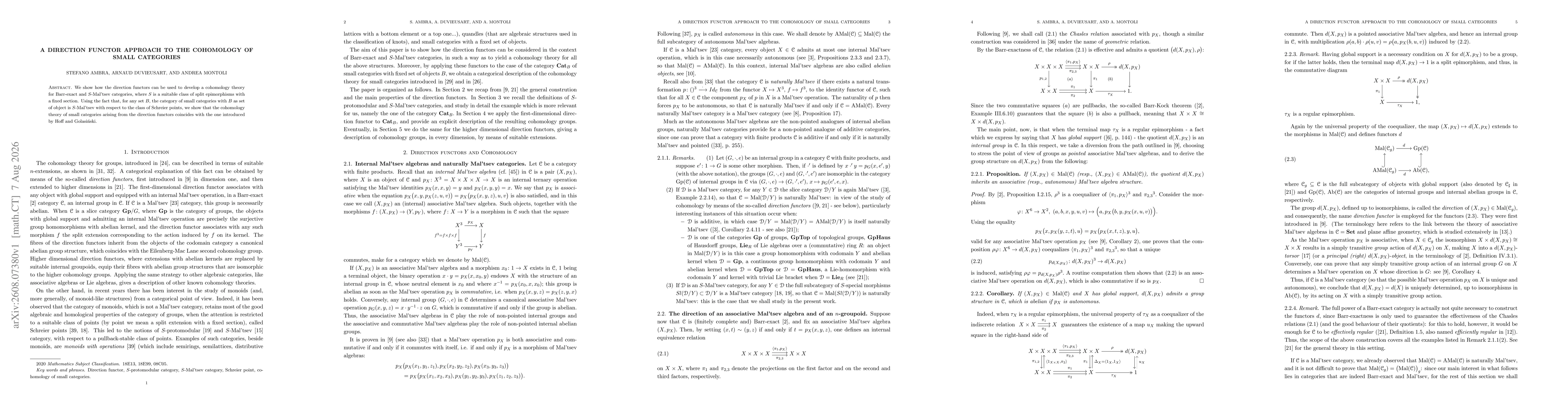 Thumbnail for A direction functor approach to the cohomology of small categories