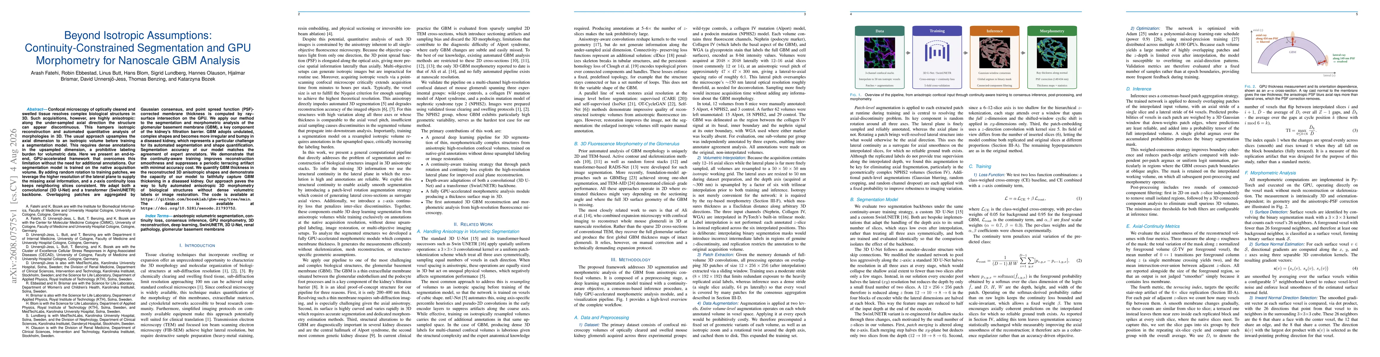 Thumbnail for Beyond Isotropic Assumptions: Continuity-Constrained Segmentation and GPU Morphometry for Nanoscale GBM Analysis