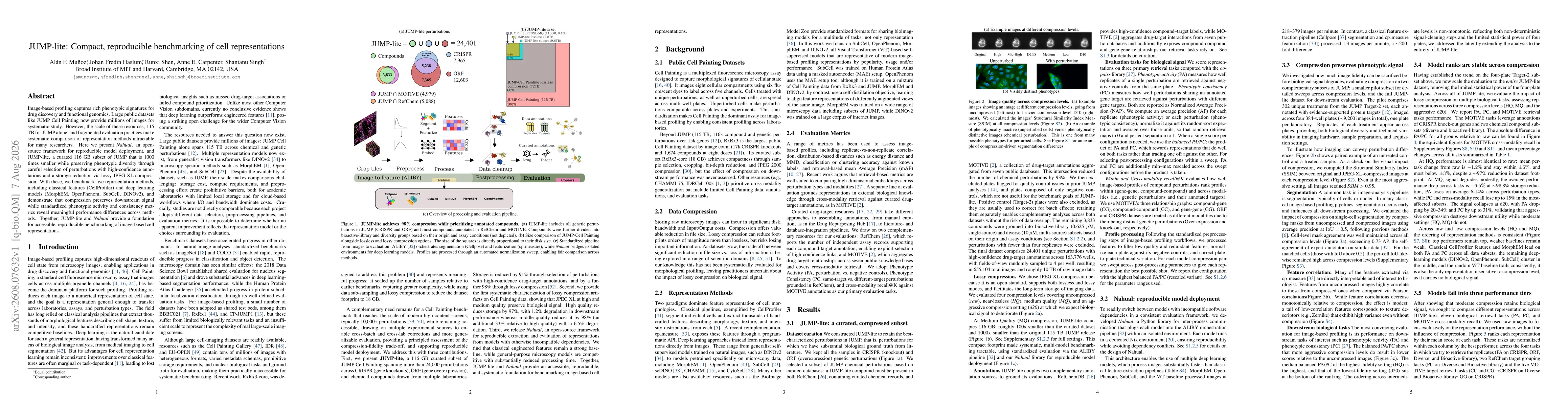Thumbnail for JUMP-lite: Compact, reproducible benchmarking of cell representations