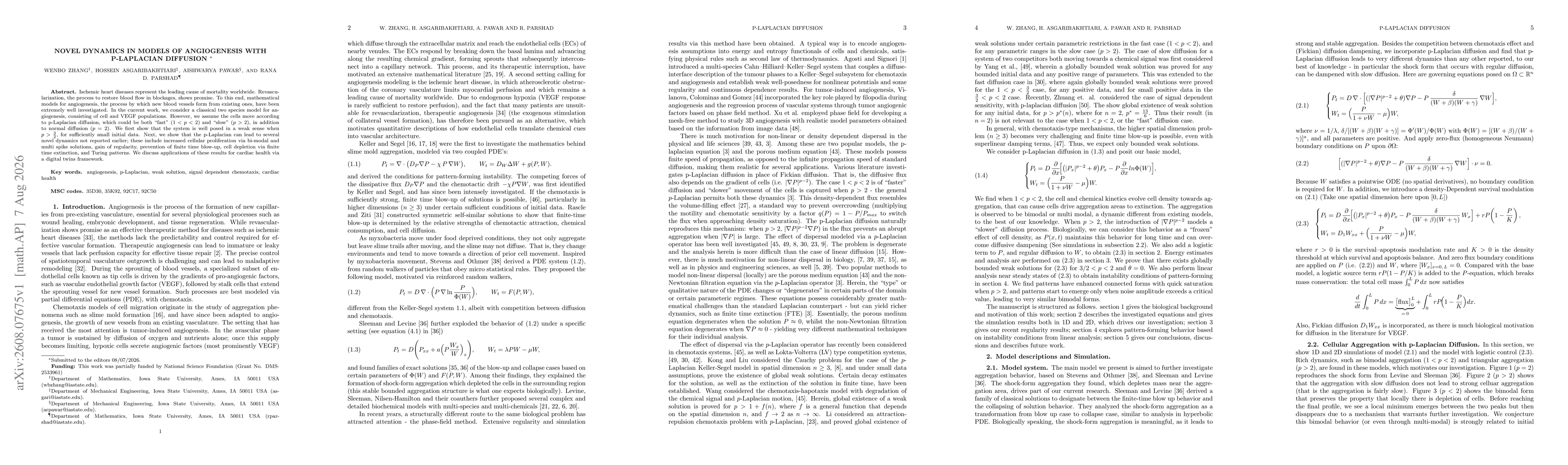 Thumbnail for Novel Dynamics in Models of Angiogenesis with p-Laplacian diffusion