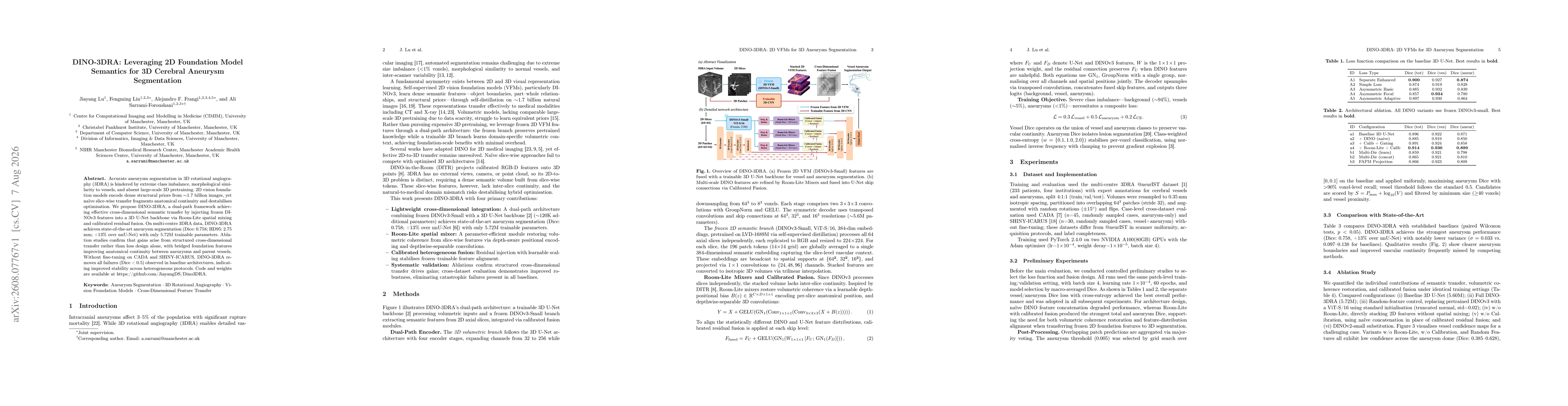 Thumbnail for DINO-3DRA: Leveraging 2D Foundation Model Semantics for 3D Cerebral Aneurysm Segmentation