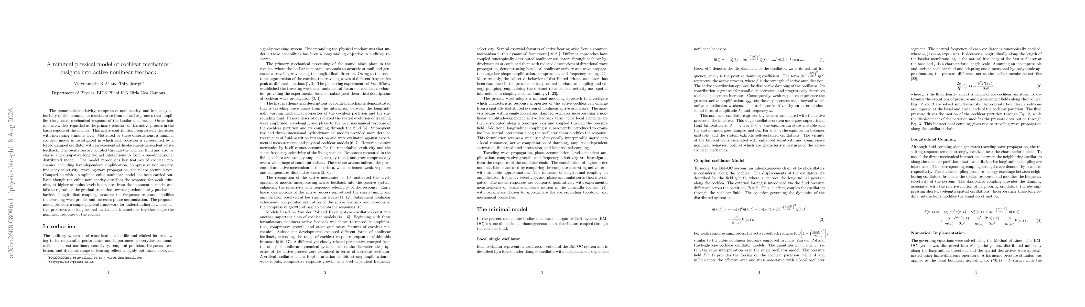 Thumbnail for A minimal physical model of cochlear mechanics: Insights into active nonlinear feedback